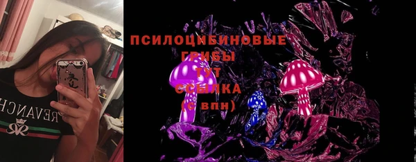 прущий лед Аркадак