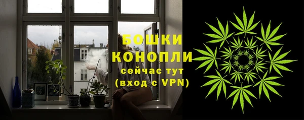 шишки Арсеньев