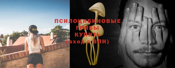 прущий лед Аркадак