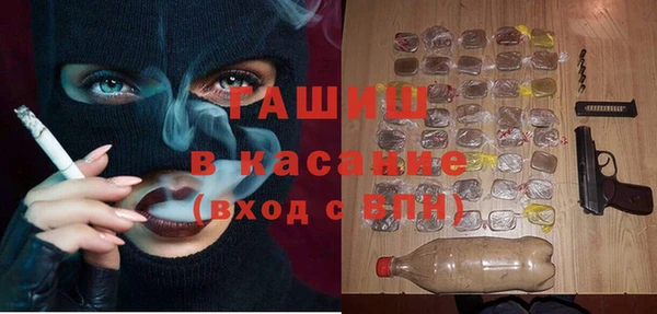 шишки Арсеньев