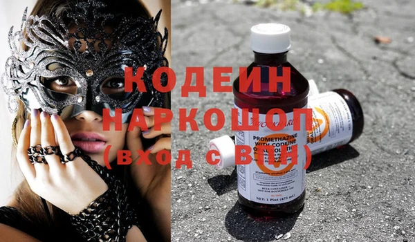 шишки Арсеньев