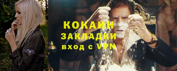 шишки Арсеньев